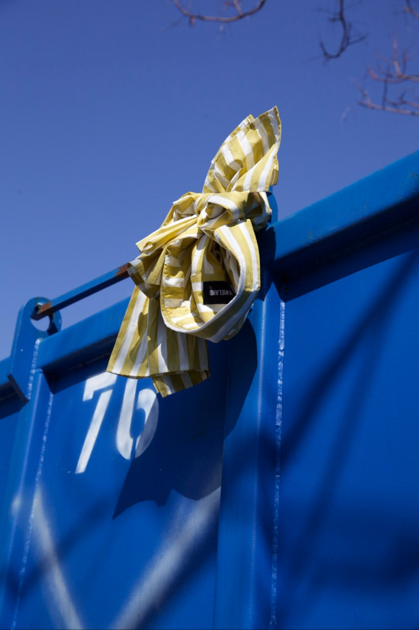 Bow Sleeve Shirt DAWN / golden kiwi stripe